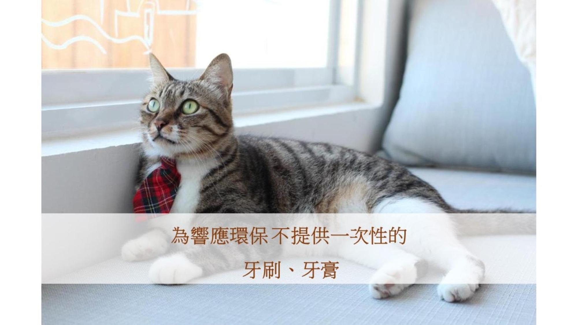 Cat At Greece Bed & Breakfast หนานวาน ภายนอก รูปภาพ