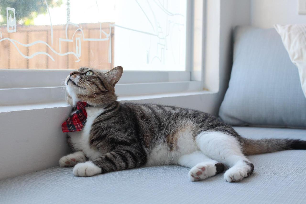 Cat At Greece Bed & Breakfast หนานวาน ภายนอก รูปภาพ