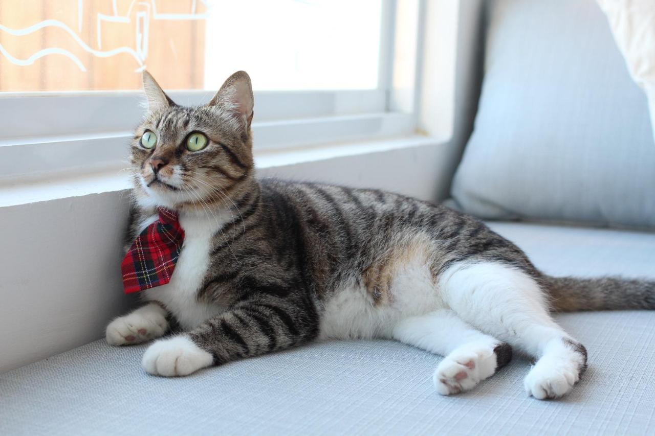 Cat At Greece Bed & Breakfast หนานวาน ภายนอก รูปภาพ
